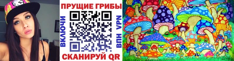 OMG ТОР  Усолье-Сибирское  Псилоцибиновые грибы MAGIC MUSHROOMS 